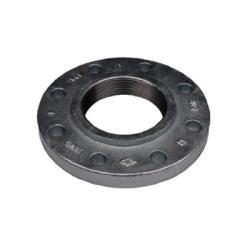 Companion Flange DUCTILE IRON FLANGE 1 150 THREADED