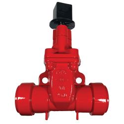 Gate Valve 2 DI, RT X RT GATE VALVE, NRS W/ OP NUT,