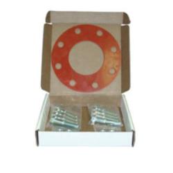 Bolt and Gasket Set 4 BOLT & GASKET SET W/304 SS BOLTS/NUTS