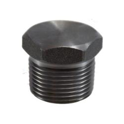Hex Head Plug 2 FS HEX HEAD PLUG