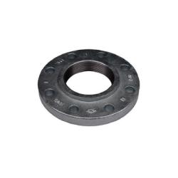 Companion Flange DUCTILE IRON FLANGE 6 150 THREADED