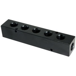 2 Port Manifold 1/8OUT 1/4IN 2 PORT MANIFOLD