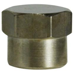 Pipe Coupling 06-06 BRASS FEMALE BSPP X FEMALE NPT Brass