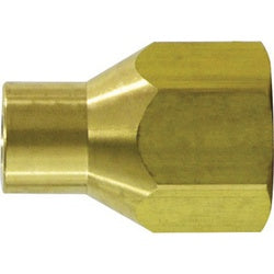 Adapter 3/4 FPT X FEMALE POL Brass