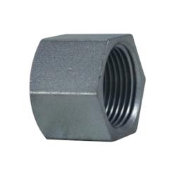 Hex Cap 3/4 ZINC PLTD STEEL HEX CAP