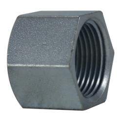 Hex Cap 2 ZINC PLTDANIZED HEX CAP
