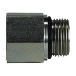 Straight Adapter 1/4X1/4-19 FNPTXMBSPP ST ADPT