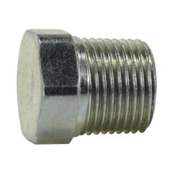 BSPT Plug 1/4-19 BSPT PLUG
