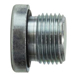 Hollow Hex Plug 1/8-28 HLW HX PLUG BSPP