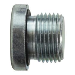 Hollow Hex Plug 1/4-19 HLW HX PLUG BSPP