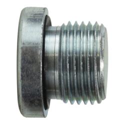 Hollow Hex Plug 3/8-19 HLW HX PLUG BSPP