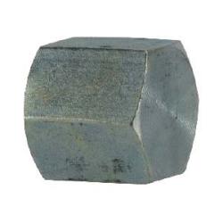 STAINLESS ADAPTERS Hex Pipe Cap 316 1 NPT HEX PIPE CAP