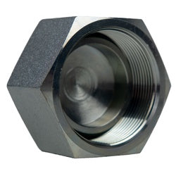 BSPP Cap 1-1/2 FBSPP CAP